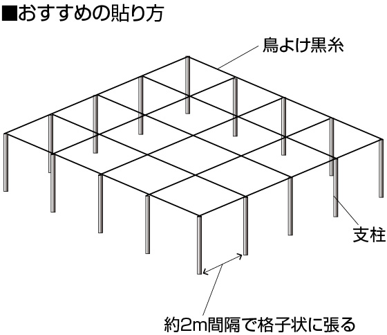 鳥よけ黒糸の張り方